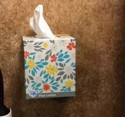 Puffs Tissue Cube holder