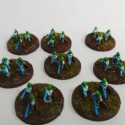 Scout exodites v1.0