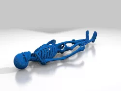 Skeleton Model without Base