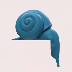 snail