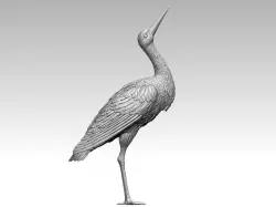 stork