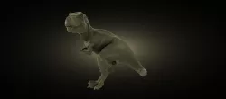 T-Rex