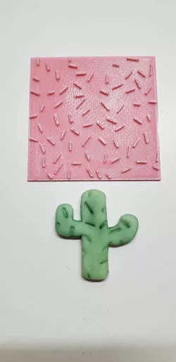 TEXTURE CACTU TEXTURIZER