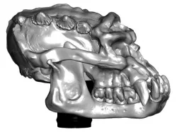 Troll Skull Topper ($7 Cane/Walking Hiking Sticks)