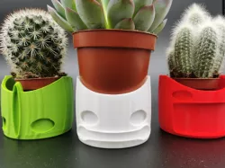 Vase plants