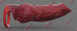 werewolf big fat cock