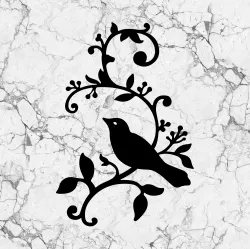 2D Bird