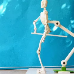 articulated backbone