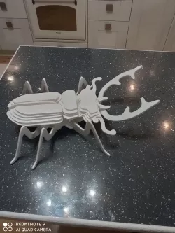 Beetle