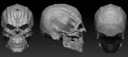 Cardassian Skull