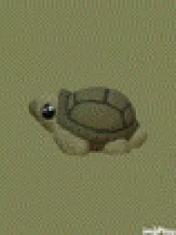 Chibi Tortoise