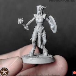 draenei shaman 3d models 【 STLFinder