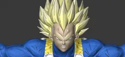 Dragonball Z Vegeta final flash