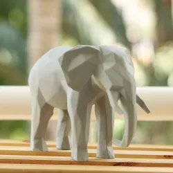 Elephant Geometric