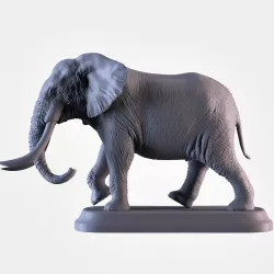 Elephant