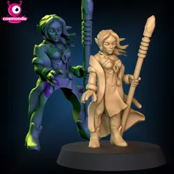 Elf Wizard