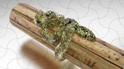 Fine Jewelry, Organic Snake Ring 02