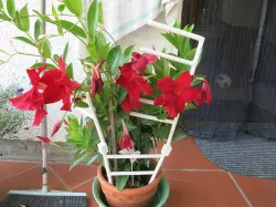 Flowers railing