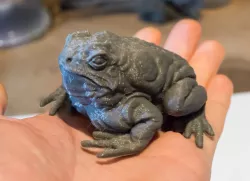 Giant Toad - DnD Monster - 2 Poses
