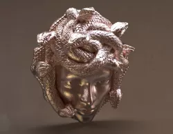 Gorgon Medusa