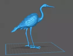 Heron