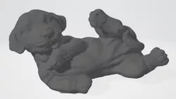 Labrador dog - Dog labrador