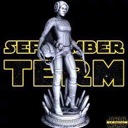 Leia Sculpture - Star Wars 3D Models - Tested and Ready for 3D printing