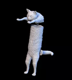 Longcat meme nobico cat