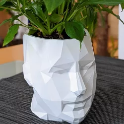 Low Poly Head Planter