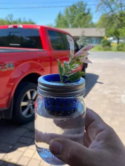 Mason Jar Net Basket Hydroponics