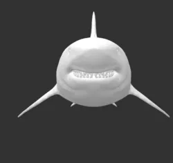 Megalodon