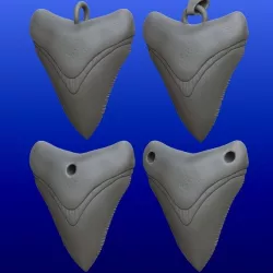 Megalodon tooth necklace pendant with 4 variations.