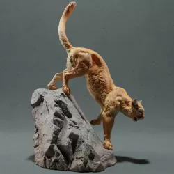 Mountain Lion