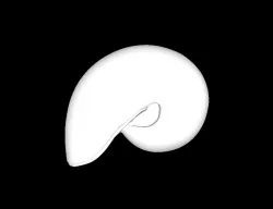 Nautilus