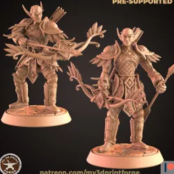 Nightborne Elf Hunter Two Models