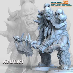 ORC KIMURA STL