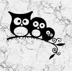 Owls 2D