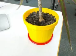 Parametric Plant Pot + Coaster