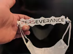 Perseverance Mars Rover Ear Saver