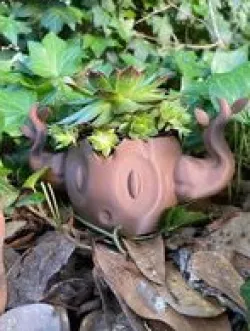 Phantump Planter