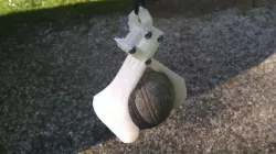 Picks up petanque balls