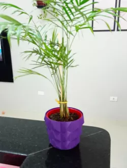 Pineapple vase