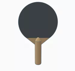 Pingpong paddle