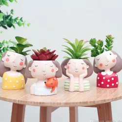 Planter pot succulents