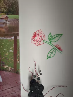 Rose