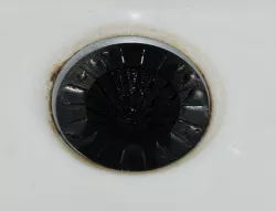 Simple Customizable Drain Sieve