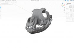 skull dog fursuit head 3d models 【 STLFinder