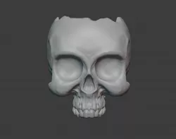 Skull Holder / Plant Vase