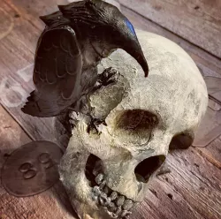 skull with crow