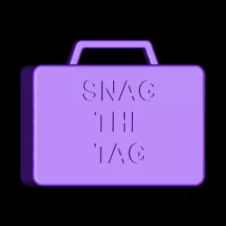Snag The Tag Agent 2020 Hider's Tag Protector